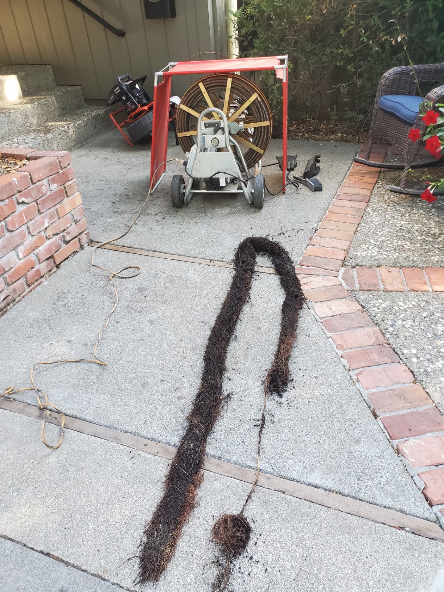 A long mass of tree roots pulled from a home’s main sewer line, laid out on a concrete patio beside a sewer cable machine and an inspection camera.